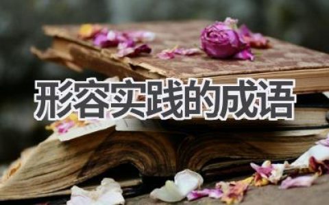 形容实践的成语