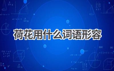 荷花用什么词语形容