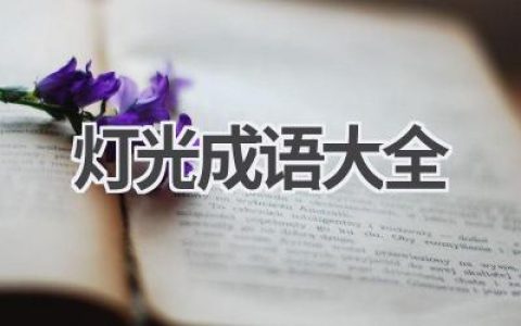 灯光成语大全