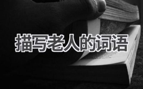 描写老人的词语