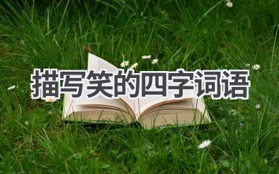 描写笑的四字词语
