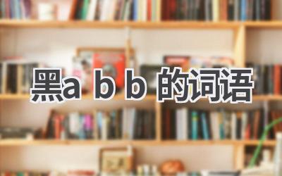 黑abb的词语