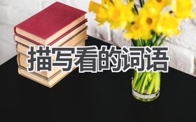 描写看的词语
