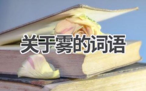 关于雾的词语