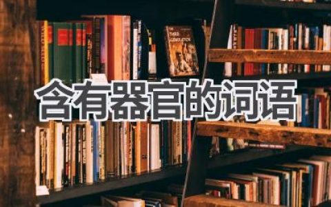 含有器官的词语
