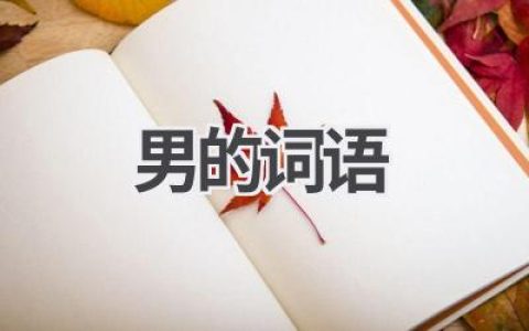 男的词语