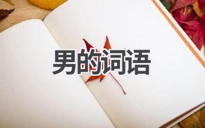 男的词语