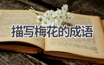 描写梅花的成语