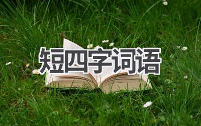 短四字词语