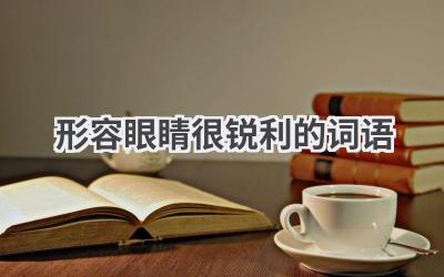 形容眼睛很锐利的词语