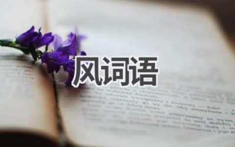风词语