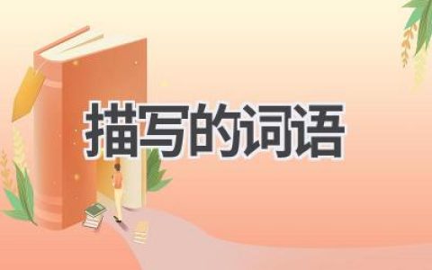 描写的词语