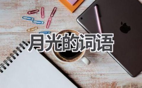 月光的词语