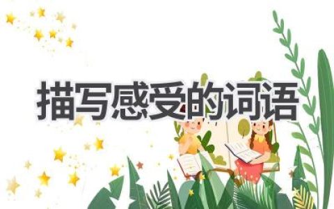 描写感受的词语