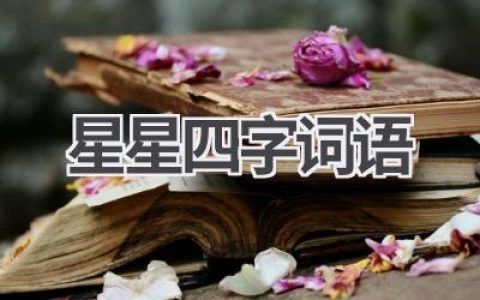 星星四字词语