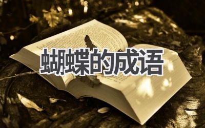 蝴蝶的成语