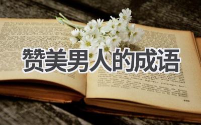 赞美男人的成语