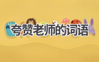 夸赞老师的词语
