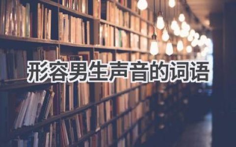 形容男生声音的词语