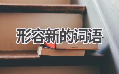 形容新的词语