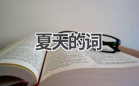 夏天的词