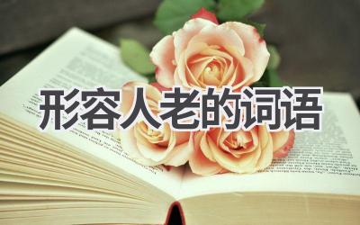 形容人老的词语