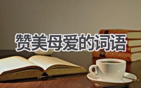 赞美母爱的词语