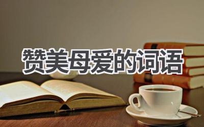 赞美母爱的词语
