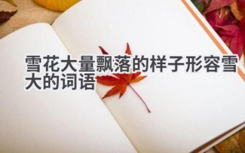 雪花大量飘落的样子形容雪大的词语
