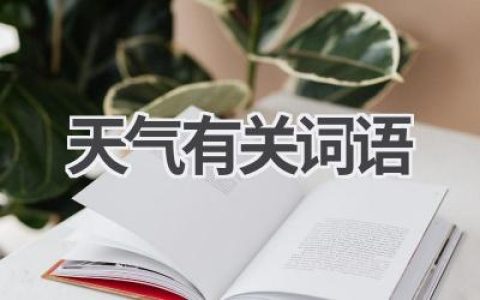 天气有关词语