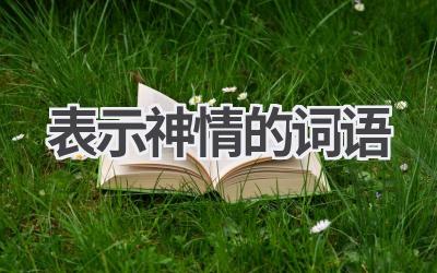 表示神情的词语