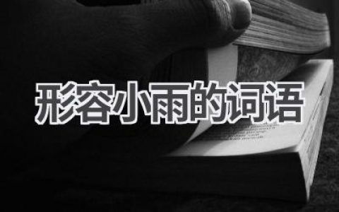 形容小雨的词语
