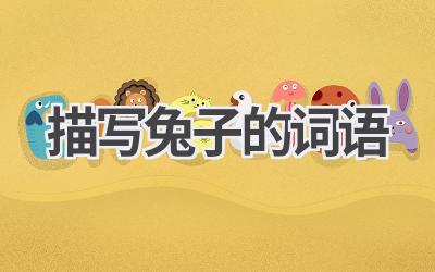 描写兔子的词语