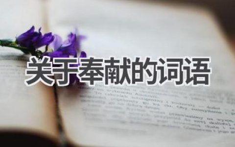 关于奉献的词语
