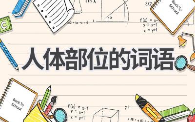 人体部位的词语