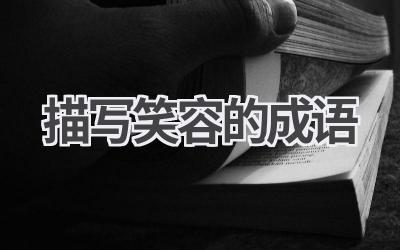 描写笑容的成语