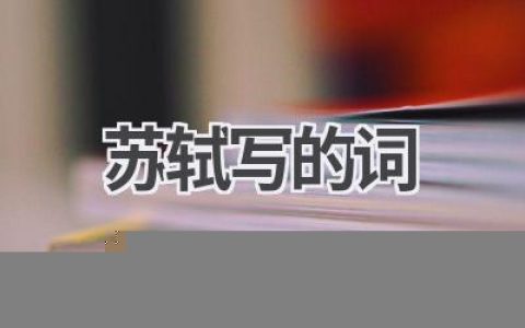 苏轼写的词