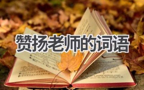 赞扬老师的词语