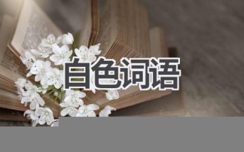 白色词语
