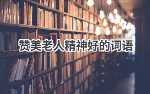 赞美老人精神好的词语