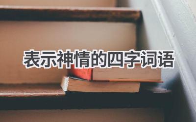 表示神情的四字词语