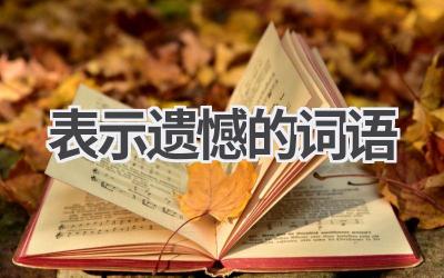 表示遗憾的词语