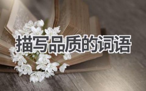描写品质的词语