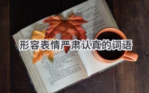 形容表情严肃认真的词语