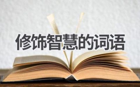 修饰智慧的词语