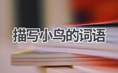 描写小鸟的词语