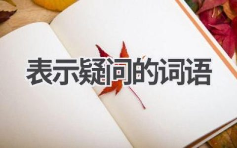 表示疑问的词语