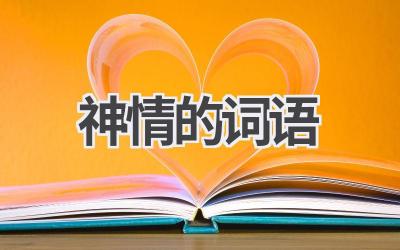神情的词语