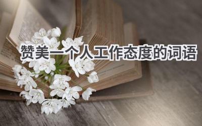 赞美一个人工作态度的词语