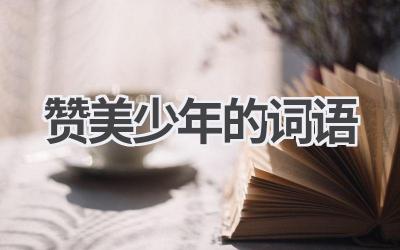 赞美少年的词语